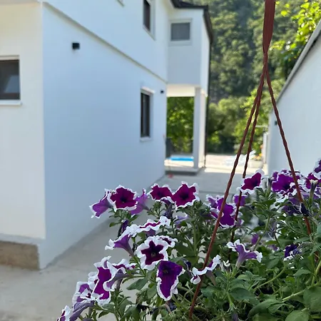 Sale Villa Buna